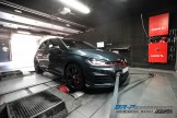  GTI Perf 2.0 TSI
